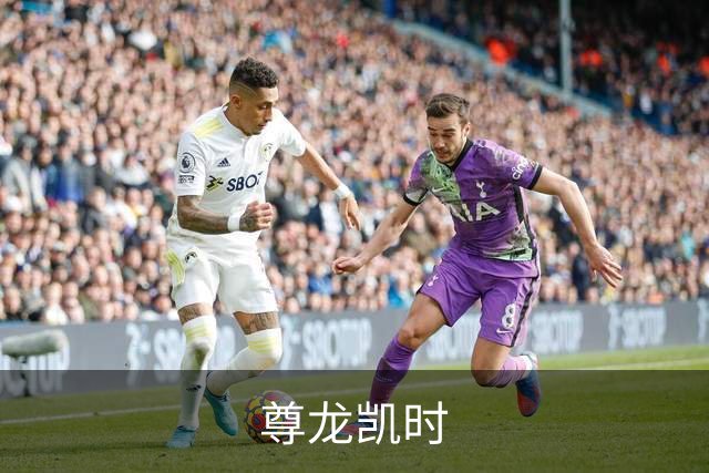 尊龙凯时公司简介